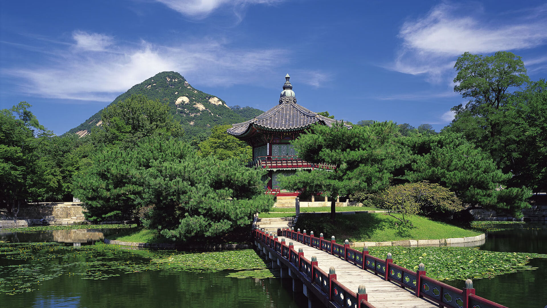 _篮网全员发挥,共赢激烈比赛_,篮网全场比赛