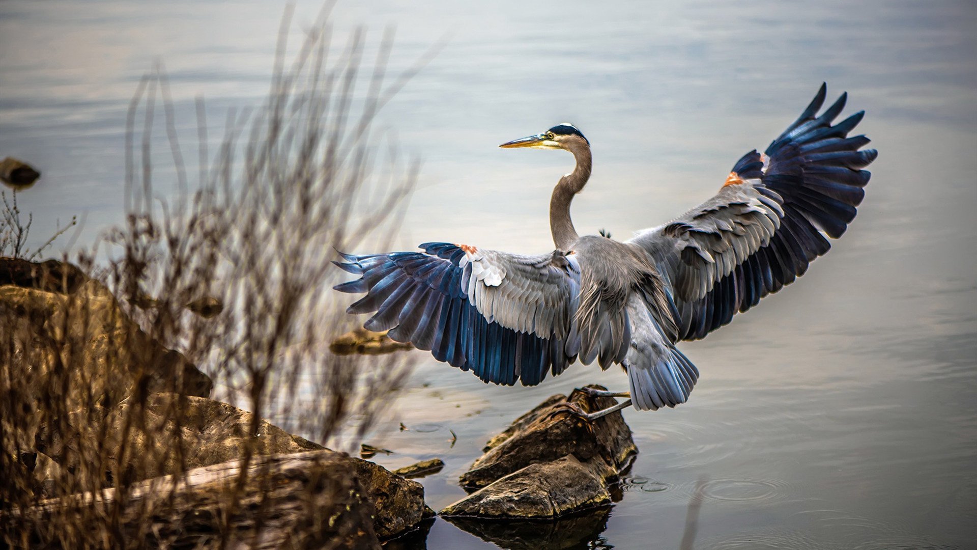 【裁判新装备】传感器与高清摄像，确保每一球都公正！，比赛传感器