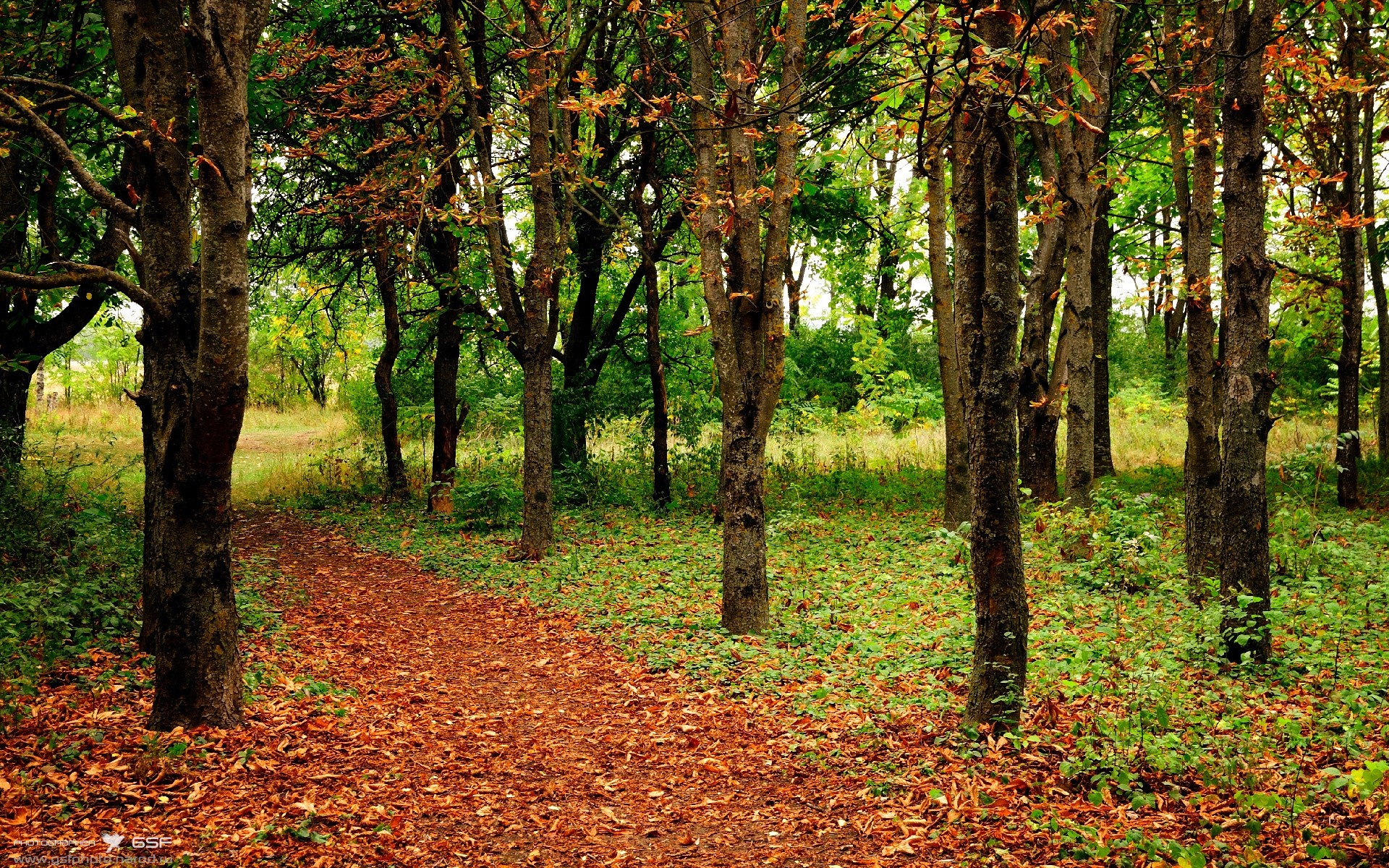 国家队集训：提前检验队伍实力