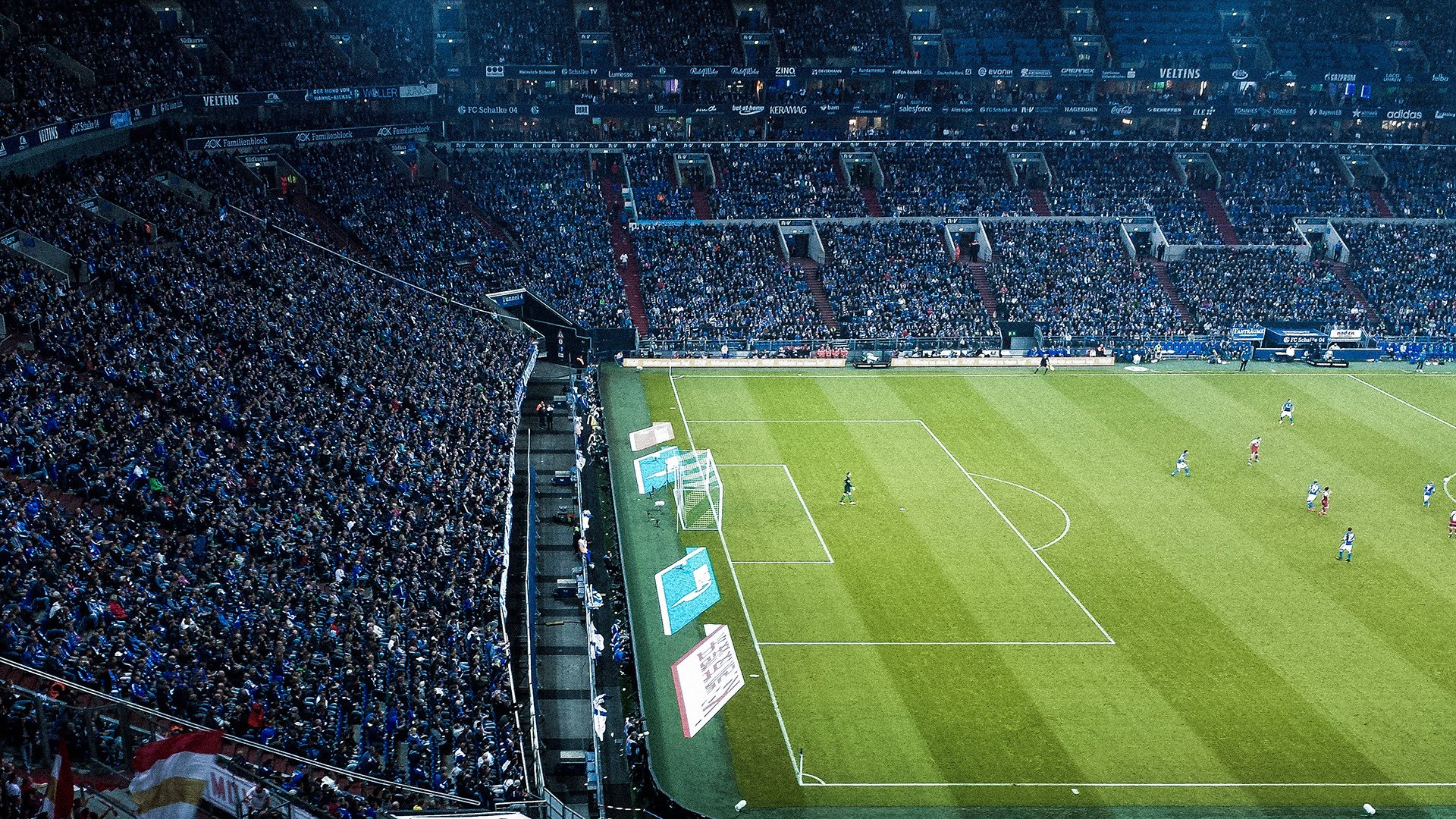 自由泳中距离中立代表队A发挥出色，中长距离自由泳关键技术