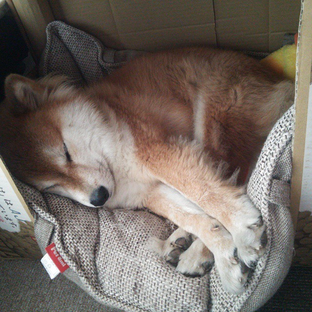 九游网页版官网-《CS_GO最激烈决赛，现场血脉喷张》，csgo最盛大的比赛